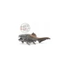 Schleich 14575 Figurine Dinosaure Dunkleosteus 14