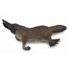 Figurines Collecta Figurine Ornithorynque 7