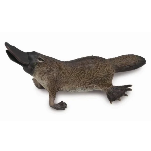 Figurines Collecta Figurine Ornithorynque 1