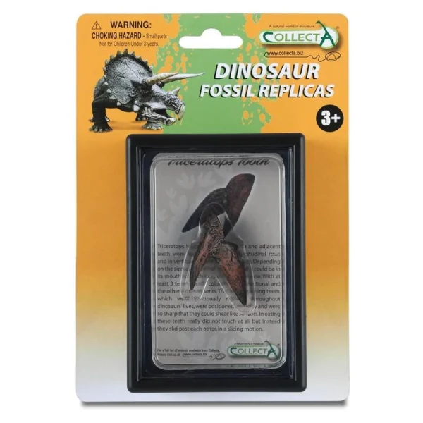 Figurines Collecta Figurine Dinosaure : Dent De Triceratops 1