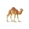 Schleich 14832 Dromadaire 16