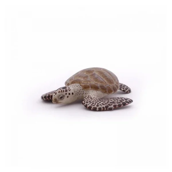 Papo 56005 Tortue Caouanne Figurine 4